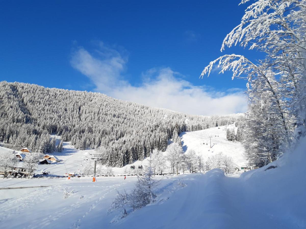Chalet Verdino Bad Kleinkirchheim Exteriör bild