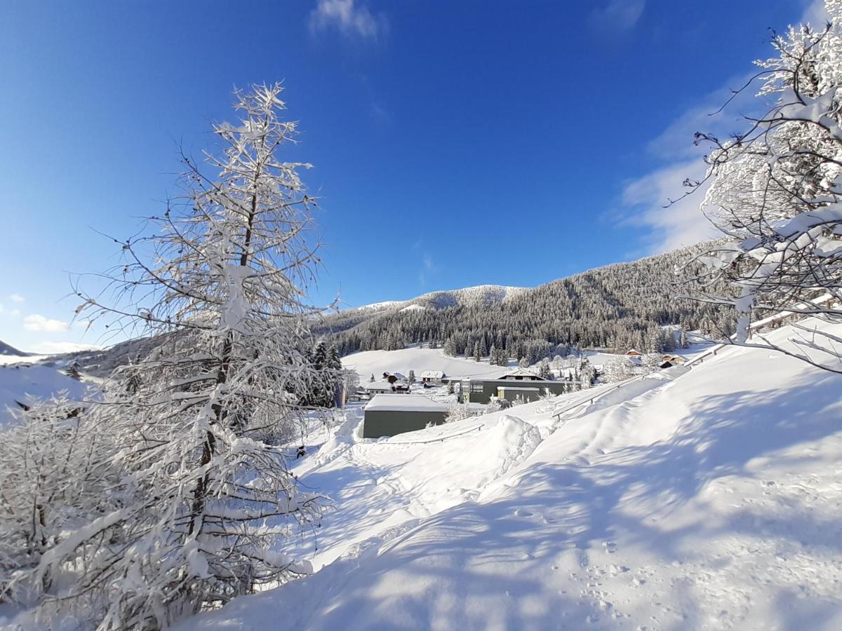 Chalet Verdino Bad Kleinkirchheim Exteriör bild